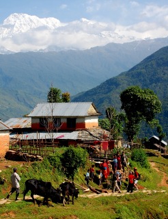c0047856_7545739.jpg