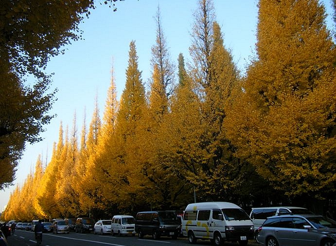 e0129656_231472.jpg