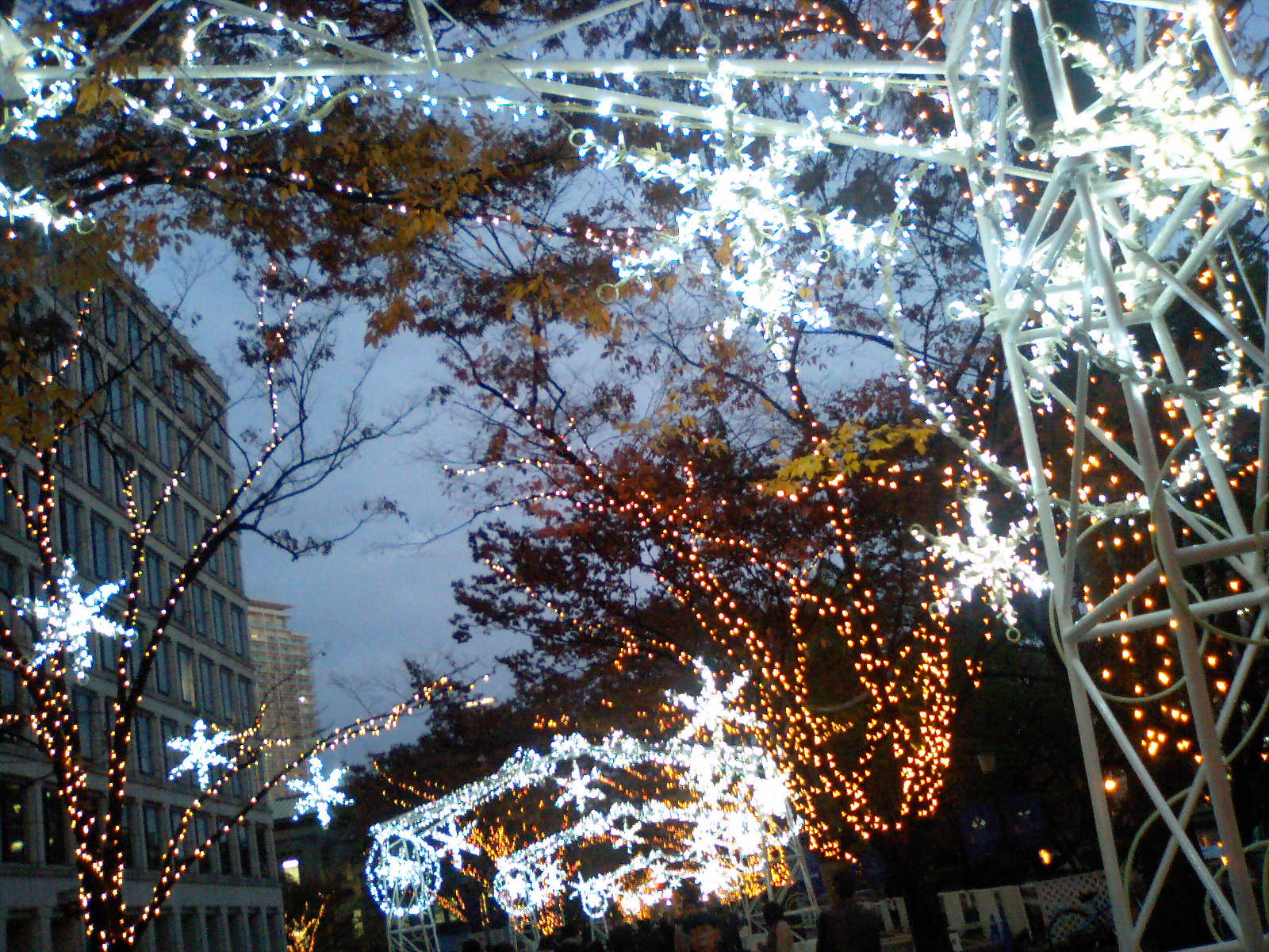 d0076760_22135793.jpg