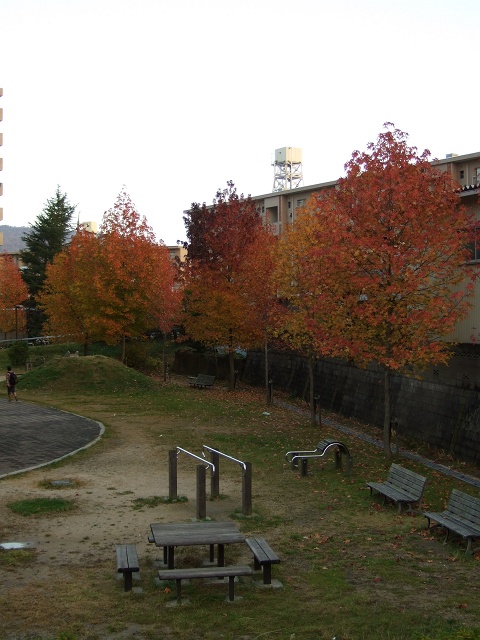 b0095061_11381151.jpg
