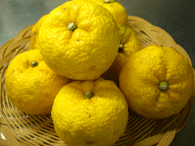 b0066762_2336742.gif