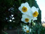 c0216472_16768.jpg