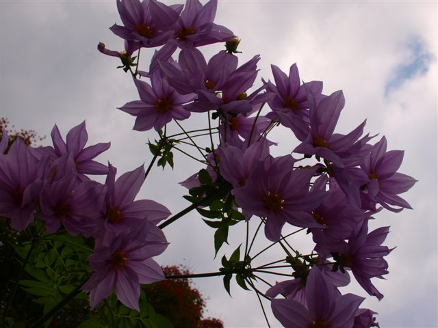 c0099086_1403922.jpg