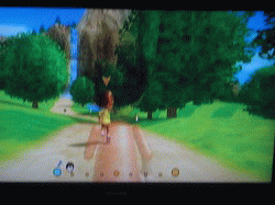 c0078592_20293832.gif