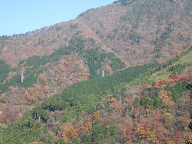 箱根の紅葉強羅、宮ノ下その１_e0126094_20572428.jpg