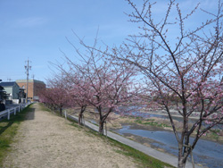 次へ_a0049695_8141990.jpg