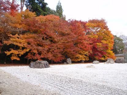 実相寺_e0077899_70243.jpg