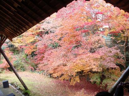 実相寺_e0077899_704916.jpg