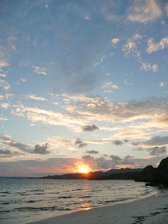 １１月の沖縄_b0014003_10273136.jpg