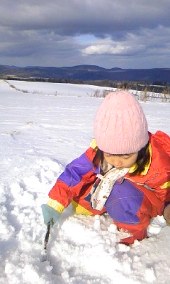 f0032403_14454074.jpg