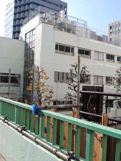 東京都新宿区立津久戸小学校(昭和モダン建築探訪)_f0142606_7575575.jpg