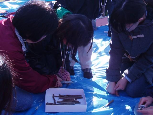すみればの木と遊ぼう_b0049307_15513965.jpg