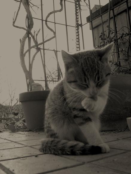 f0155808_002166.jpg