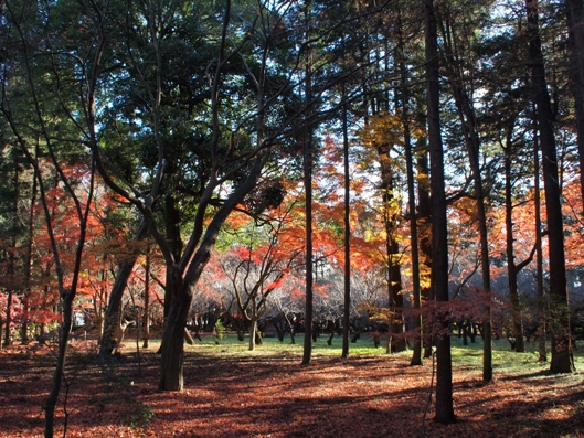 平林寺　3_e0083212_9173845.jpg