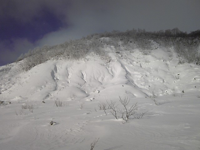c0154313_18377.jpg