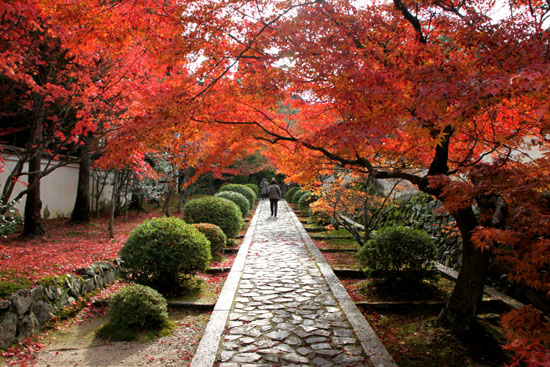 一休寺 紅葉終盤_e0048413_1813794.jpg