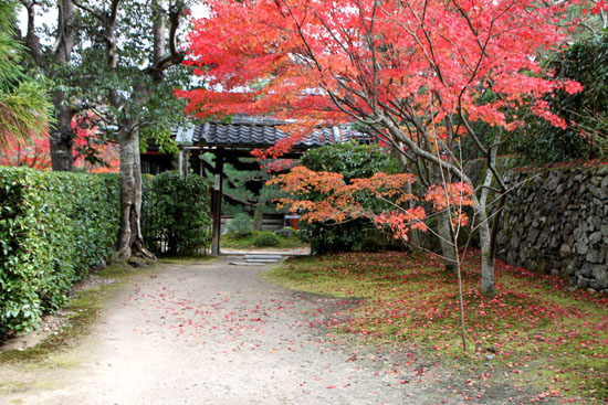 一休寺 紅葉終盤_e0048413_1814974.jpg