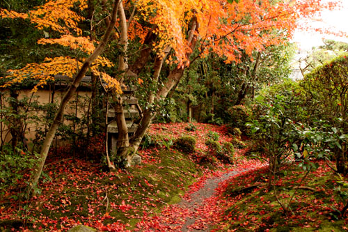 八幡市 松花堂_e0048413_19541536.jpg