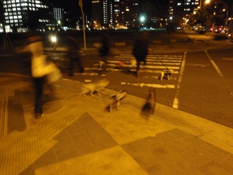b0143214_084478.jpg