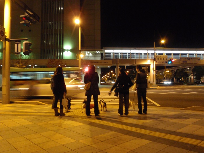 b0143214_09209.jpg