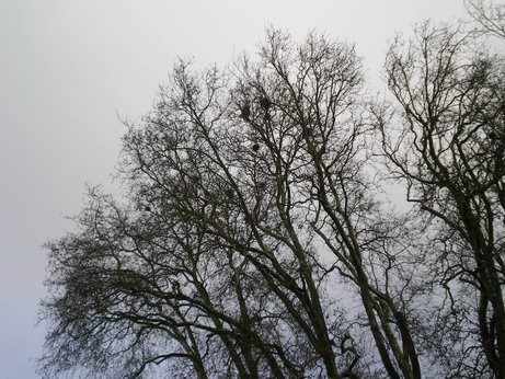 c0124619_2341567.jpg