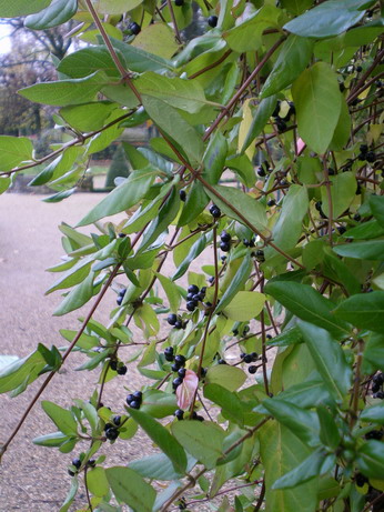 c0124619_2361638.jpg