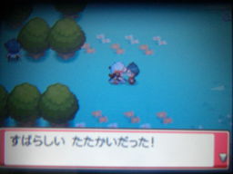 ポケットモンスターハートゴールドプレイ日記（ゴールデンブリッジ）_a0120525_23481892.jpg