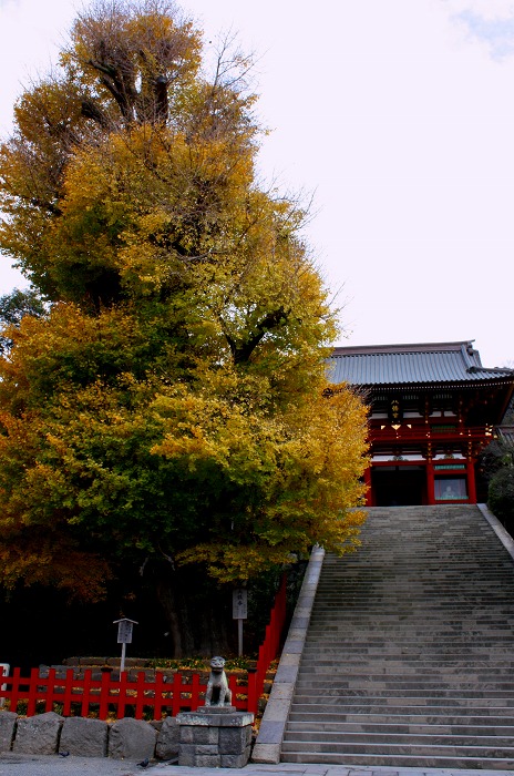 d0085025_156438.jpg