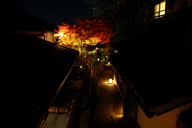 紅葉ライトアップ（高台寺・園徳院）_b0169330_2113495.jpg