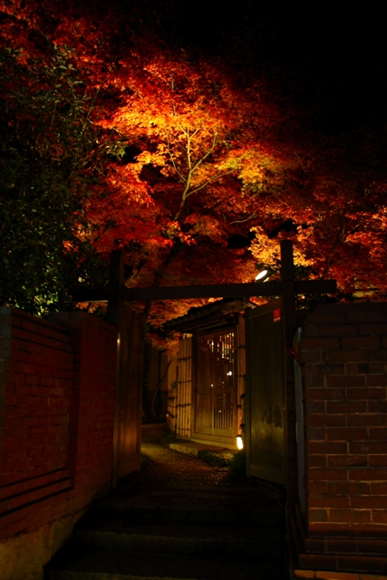 紅葉ライトアップ（高台寺・園徳院）_b0169330_21144654.jpg