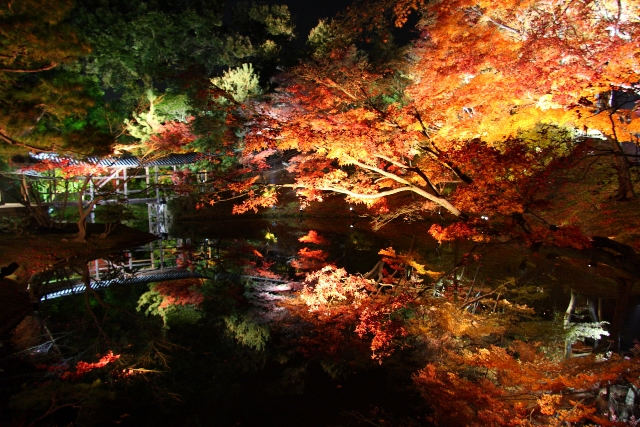 紅葉ライトアップ（高台寺・園徳院）_b0169330_2182526.jpg