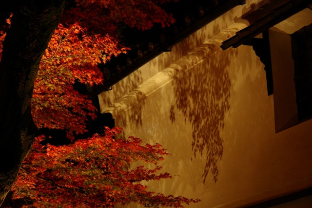 紅葉ライトアップ（高台寺・園徳院）_b0169330_2192370.jpg