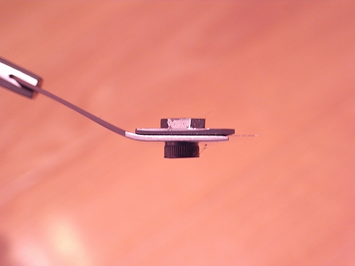 e0149241_1556593.jpg