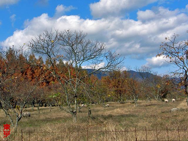 りりぃと二人だけのドライブｉｎマキノ♪_e0097746_2013873.jpg