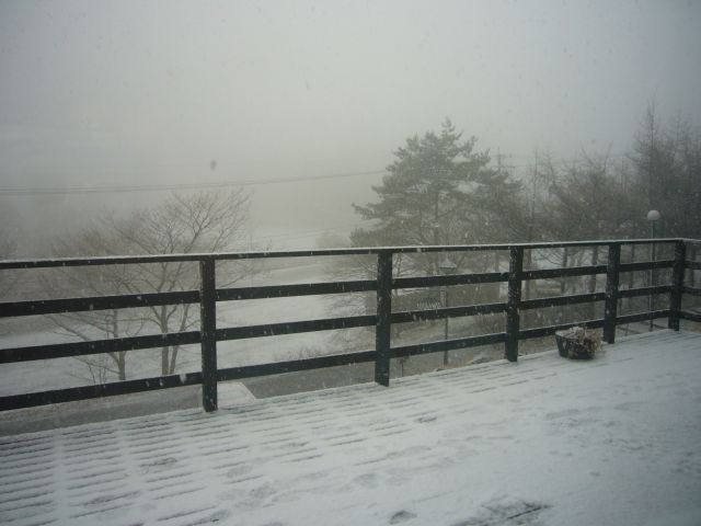 c0201450_16334037.jpg