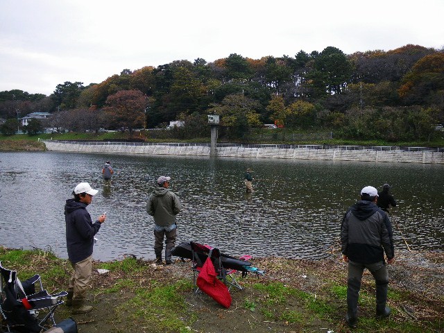 f0199565_22335079.jpg