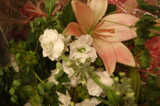 c0135480_143420.jpg