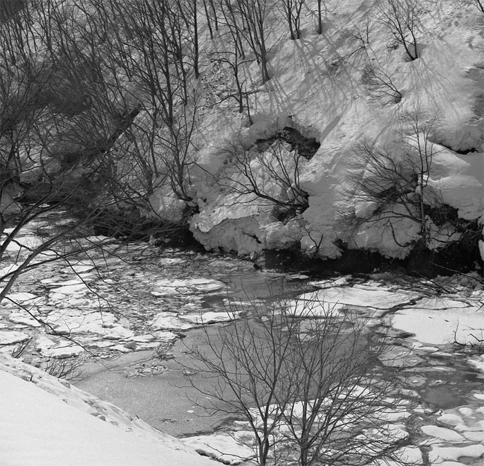 c0229384_20271282.jpg