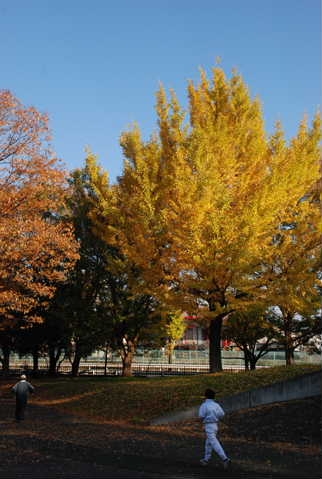 f0202686_18342266.jpg