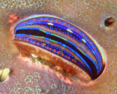 c0018489_0404562.jpg