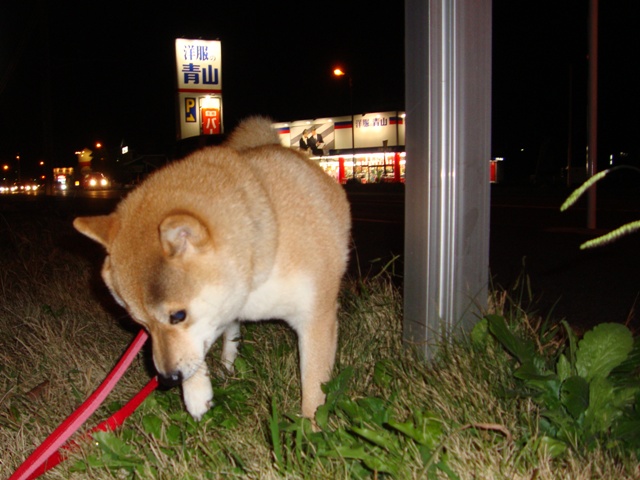 金曜の夜だもの!_a0126590_445025.jpg