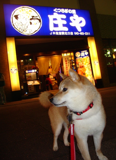 金曜の夜だもの!_a0126590_451919.jpg