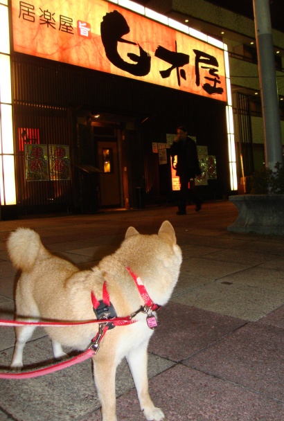 金曜の夜だもの!_a0126590_45941.jpg