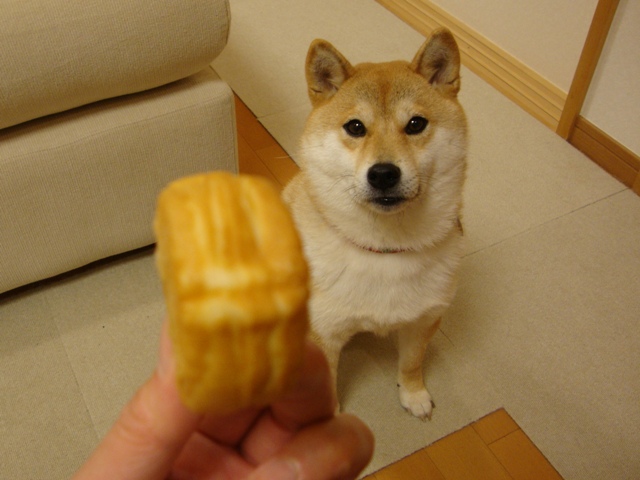 金曜の夜だもの!_a0126590_464162.jpg