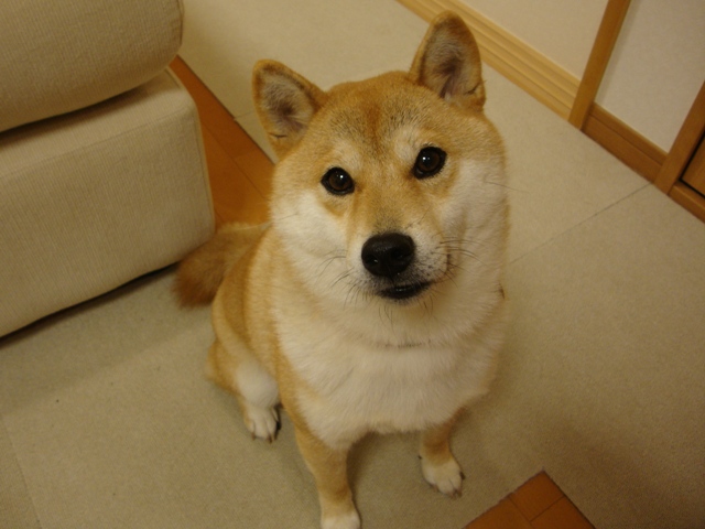 金曜の夜だもの!_a0126590_478100.jpg