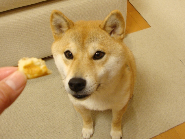 金曜の夜だもの!_a0126590_48113.jpg