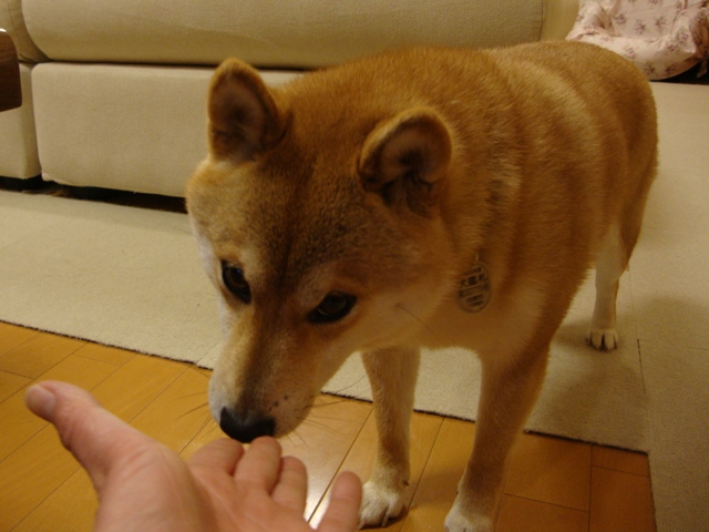 金曜の夜だもの!_a0126590_493686.jpg