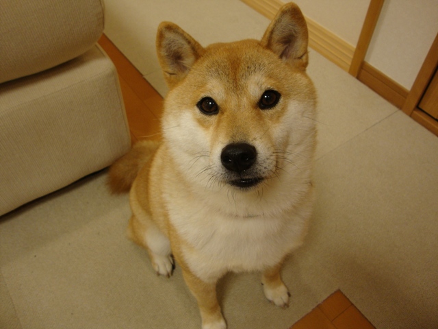 金曜の夜だもの!_a0126590_5535618.jpg