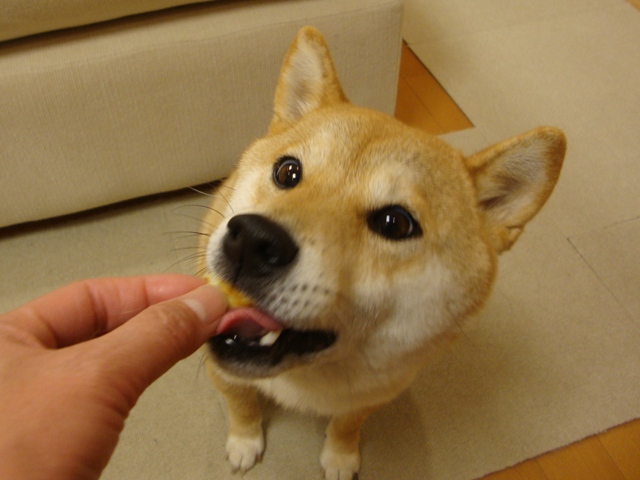 金曜の夜だもの!_a0126590_662264.jpg