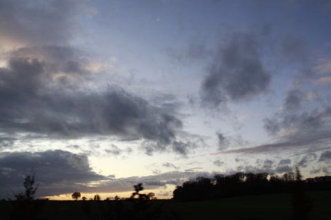 c0090198_337614.jpg